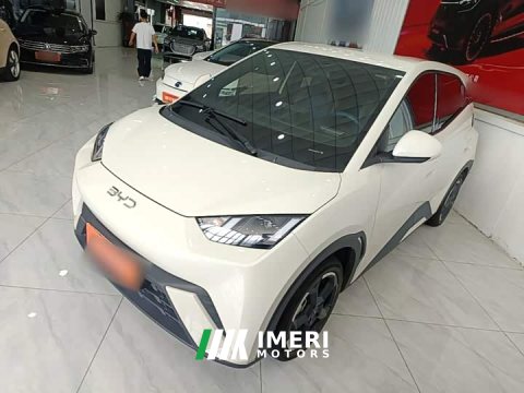 2024 BYD Seagull Glory Edition 405km Flying Edition - ავტომობილი ჩინეთიდან