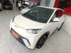 BYD Seagull Glory Edition 405km Flying Edition - ფოტო 2