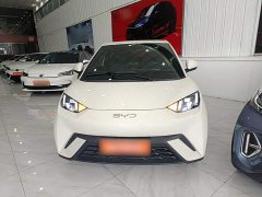 BYD Seagull Glory Edition 405km Flying Edition - ფოტო 3