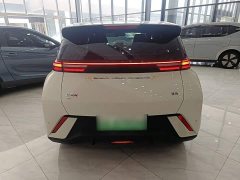 BYD Seagull Glory Edition 405km Flying Edition - ფოტო 4