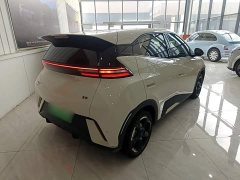 BYD Seagull Glory Edition 405km Flying Edition - ფოტო 5