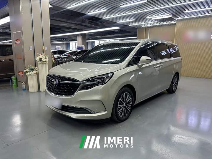 Buick GL8 ES Land Respect 653T Luxury