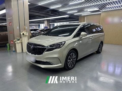 2022 Buick GL8 ES Land Respect 653T Luxury - ავტომობილი ჩინეთიდან