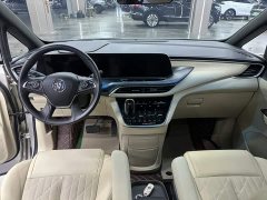 Buick GL8 ES Land Respect 653T Luxury - ფოტო 8