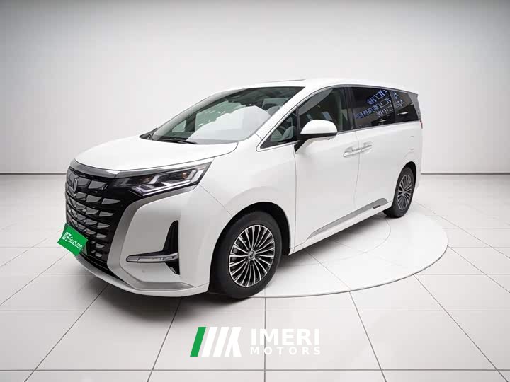 Denza D9 DM-i 1040 Premium