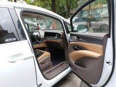 Denza BYD Denza D9 2022 DM-i 1040 Premium - ფოტო 20