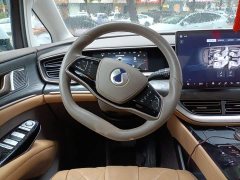 Denza BYD Denza D9 2022 DM-i 1040 Premium - ფოტო 3