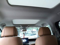 Denza BYD Denza D9 2022 DM-i 1040 Premium - ფოტო 9