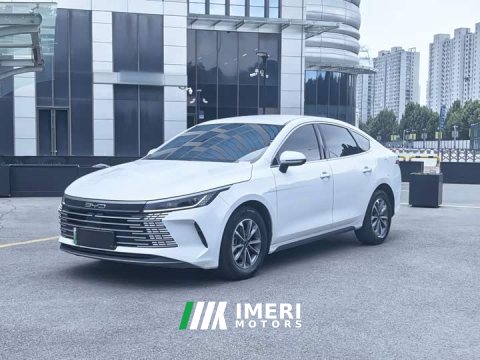 2025 BYD Destroyer 05 2024 Glory Edition DM-i 55KM Luxury - ავტომობილი ჩინეთიდან