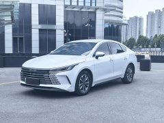 BYD Destroyer 05 2024 Glory Edition DM-i 55KM Luxury - ფოტო 2