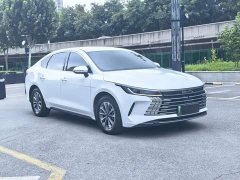 BYD Destroyer 05 2024 Glory Edition DM-i 55KM Luxury - ფოტო 6