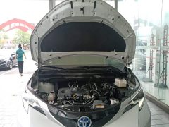 Toyota Sienna 2021 2.5L Hybrid Platinum Edition - ფოტო 16