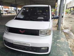 Wuling Hongguang MINIEV 2020 Deluxe Edition LFP Battery - ფოტო 9
