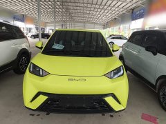 BYD Seagull 2023 Freedom Edition - ფოტო 8