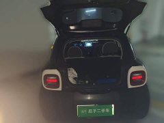 ORA Black Cat 301km Cute Pet Edition - ფოტო 10