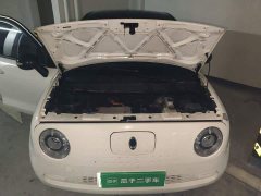 ORA Black Cat 301km Cute Pet Edition - ფოტო 11