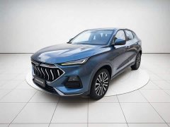 Changan Oushan X5 1.5T DCT Luxury - ფოტო 2