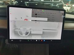 Tesla Model 3 Standard Range RWD Upgrade - ფოტო 9