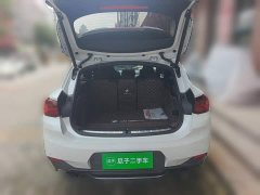 BMW X2 sDrive 25i Radiant Edition - ფოტო 10