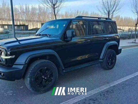2022 Tank 300 2021 Off-Road Edition 2.0T Conqueror - ავტომობილი ჩინეთიდან