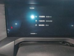 Tank 300 2021 Off-Road Edition 2.0T Conqueror - ფოტო 6