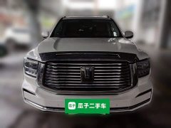 Tank 500 3.0T Business Edition Landscape Trim 5-Seater - ფოტო 5
