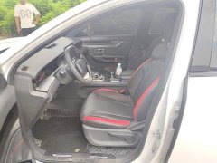 Jetour Jietu Dasheng 1.5T DCT Starlight PRO - ფოტო 8