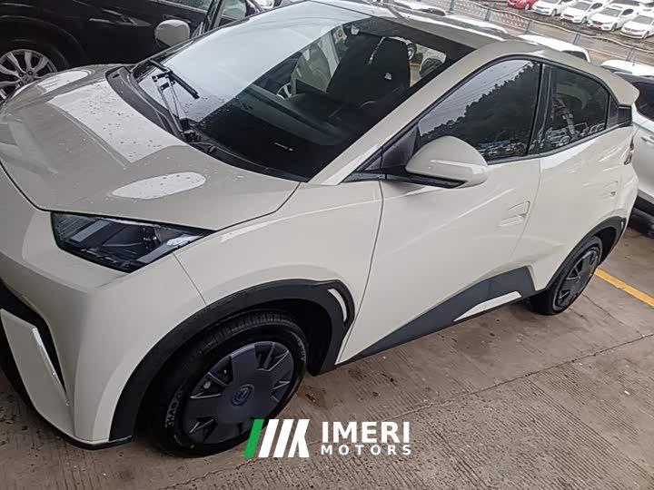 BYD Seagull 305km Vitality Edition - ავტომობილი ჩინეთიდან