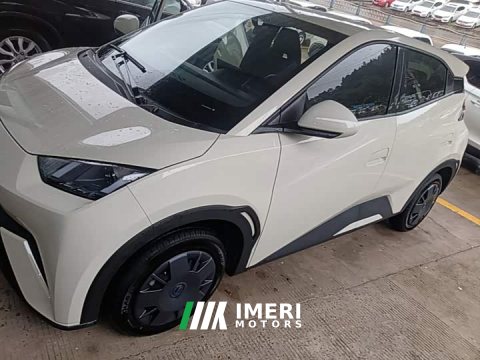 2025 BYD Seagull 305km Vitality Edition - ავტომობილი ჩინეთიდან