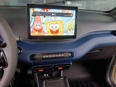 BYD Seagull 305km Vitality Edition - ფოტო 13