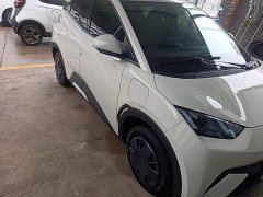 BYD Seagull 305km Vitality Edition - ფოტო 4