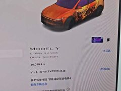 Tesla Model Y Facelift Long Range All-Wheel Drive - ფოტო 11