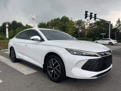 BYD Qin L DM-i 120KM Leading Edition - ფოტო 14
