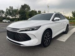 BYD Qin L DM-i 120KM Leading Edition - ფოტო 2