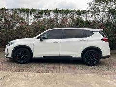 Volkswagen Viloran 2020 Mild Hybrid Redline 530T Automatic Luxury Edition (5 2 Seating) - ფოტო 8