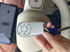 ORA Good Cat 430km Luxury - ფოტო 12