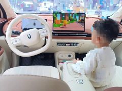 ORA Good Cat 430km Luxury - ფოტო 13