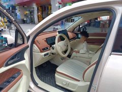 ORA Good Cat 430km Luxury - ფოტო 14