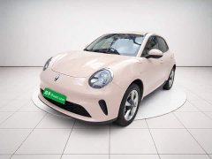 ORA Good Cat 430km Luxury - ფოტო 2