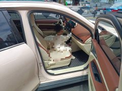ORA Good Cat 430km Luxury - ფოტო 20