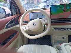 ORA Good Cat 430km Luxury - ფოტო 3