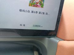 ORA Good Cat 430km Luxury - ფოტო 5