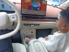 ORA Good Cat 430km Luxury - ფოტო 6