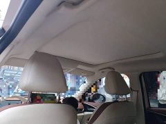 ORA Good Cat 430km Luxury - ფოტო 9