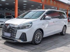 Buick GL8 Land Executive Cabin Premium - ფოტო 1