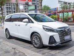 Buick GL8 Land Executive Cabin Premium - ფოტო 10