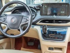 Buick GL8 Land Executive Cabin Premium - ფოტო 19