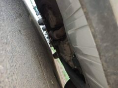 Buick Yueyue 2019 1.8T Automatic Connected Elite National VI - ფოტო 20