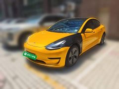 Tesla Model 3 Standard Range RWD Upgrade 3D6 - ფოტო 1