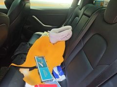 Tesla Model 3 Standard Range RWD Upgrade 3D6 - ფოტო 15